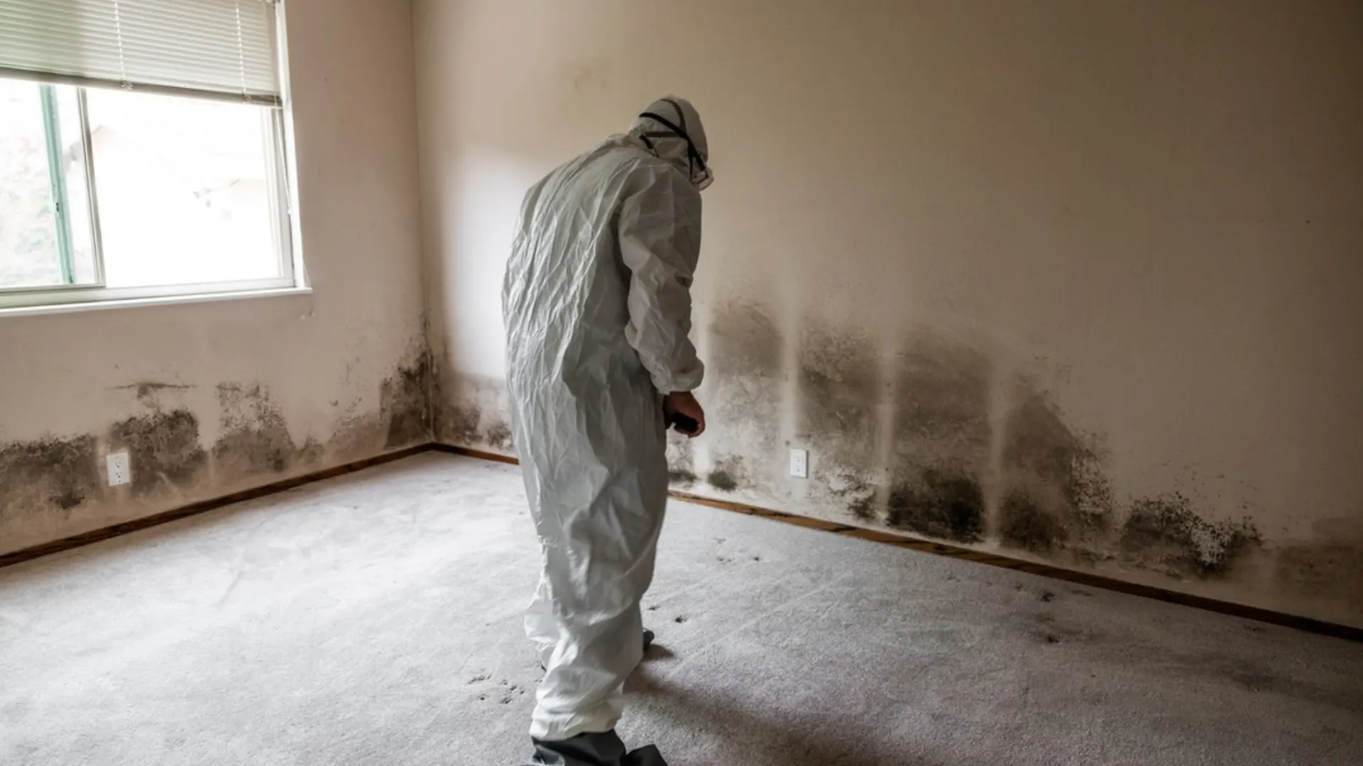 Basement wall and floor area opened up during waterproofing and mold removal