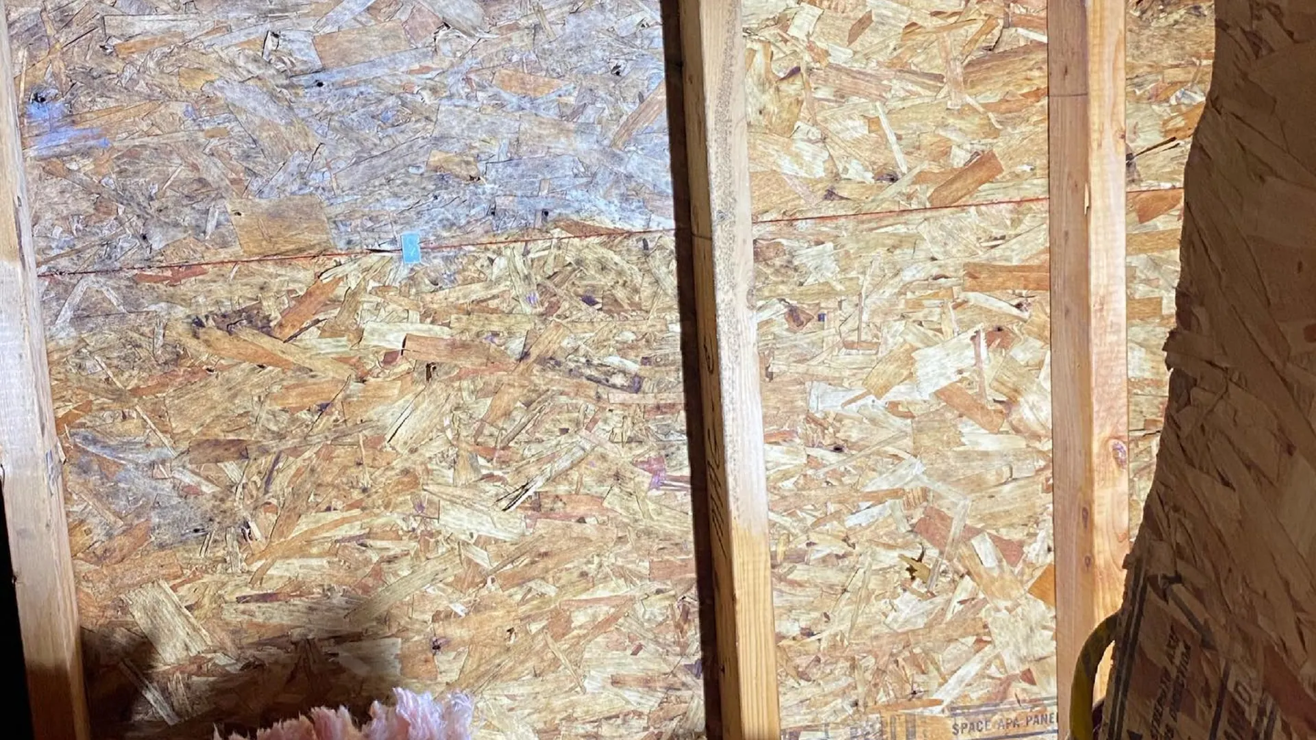 Opened wall framing during remediation
