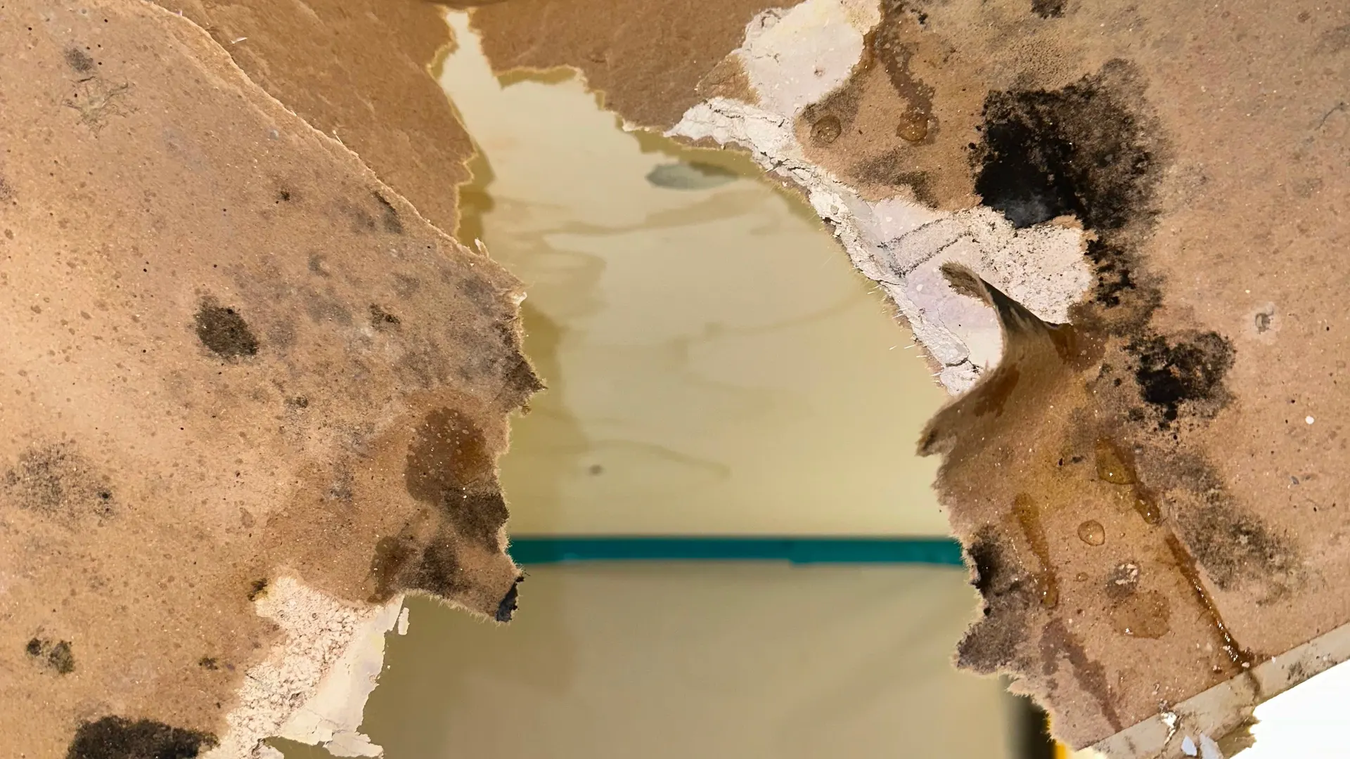 Moldy drywall removed after flood water damage in a New Jersey home