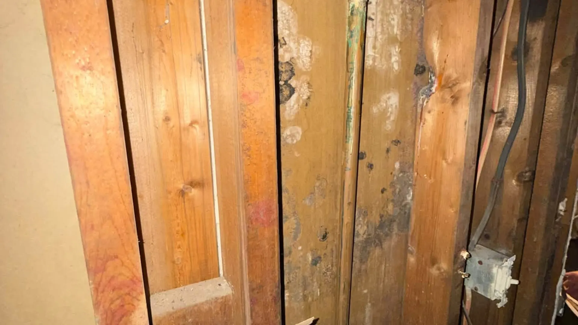 Mold-damaged wall framing exposed after drywall removal in a New Jersey home