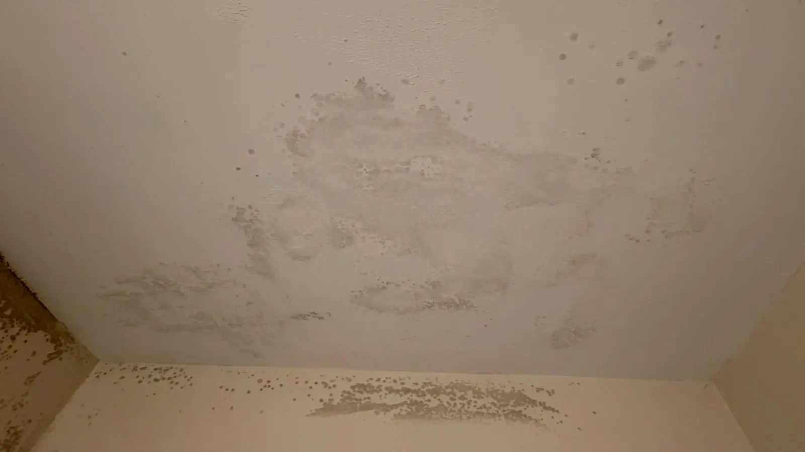 Bathroom ceiling with mold growth before remediation