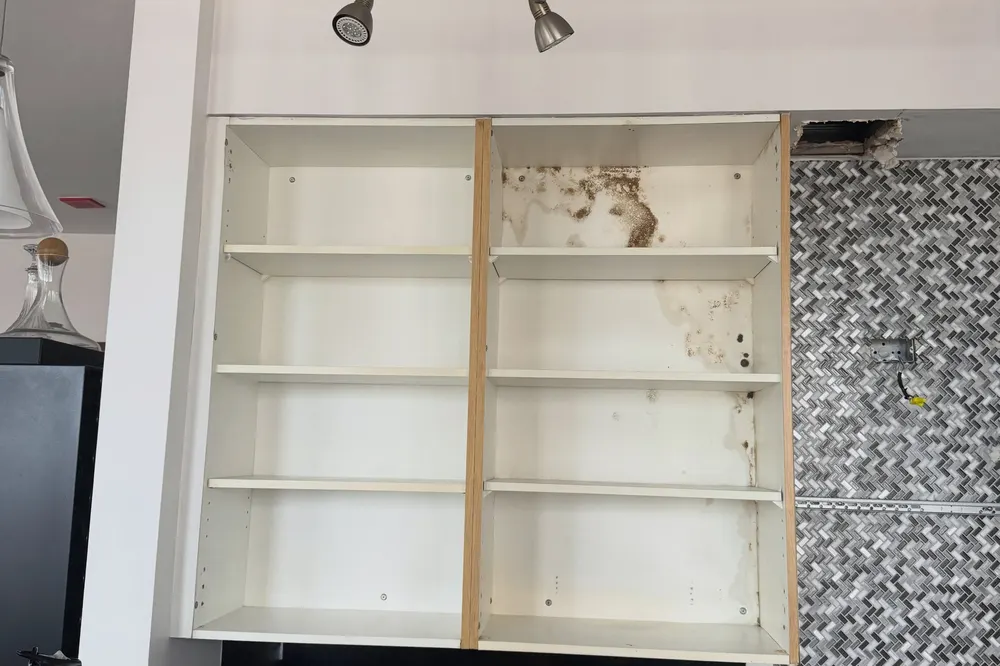 Bedroom with built-in shelving being prepared for mold remediation before a home sale