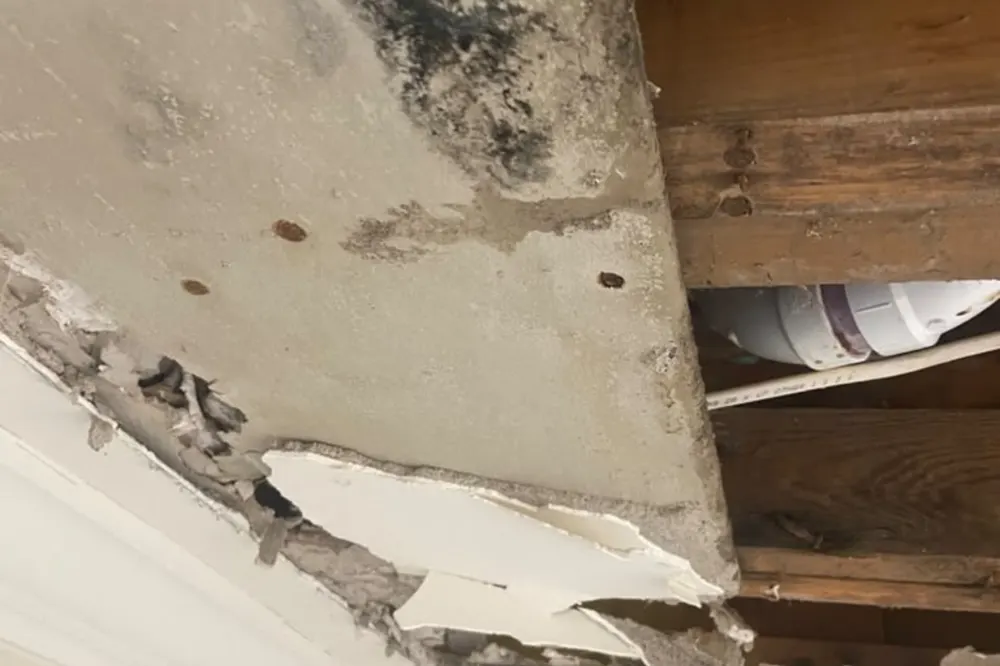 Water-damaged ceiling drywall with mold above a leak