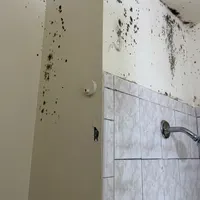 Dark mold spots spreading across a bathroom wall and ceiling