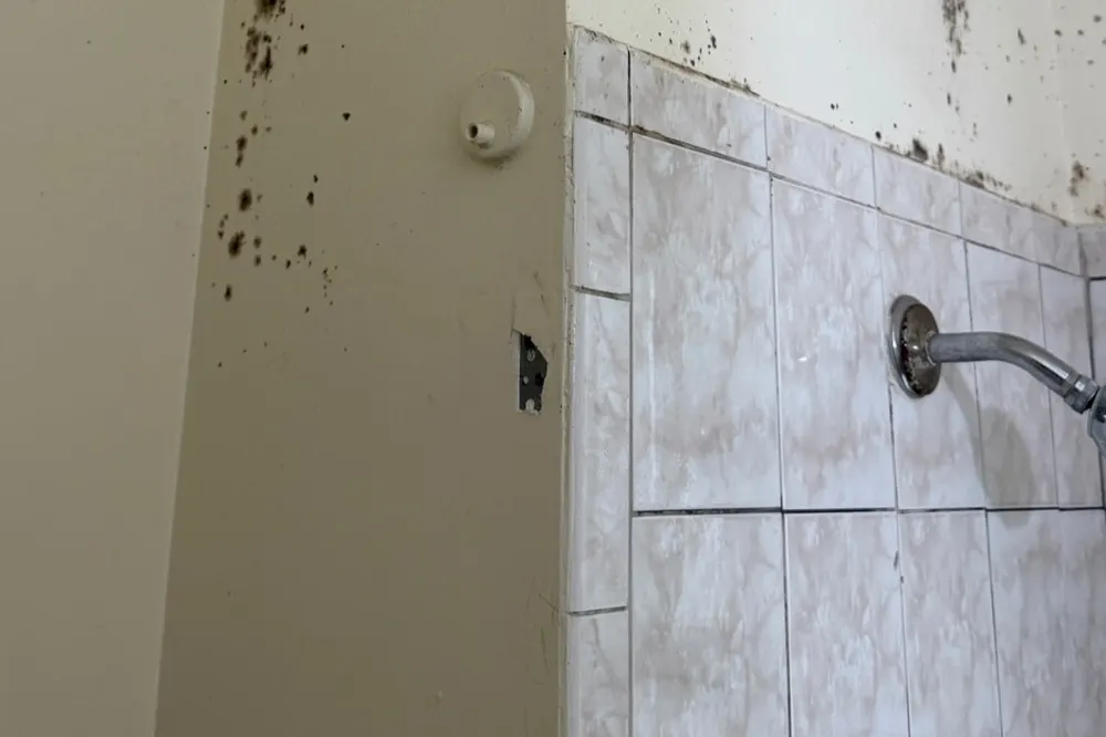 Dark mold spots spreading across a bathroom wall and ceiling