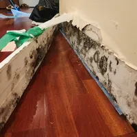 Mold growing along a baseboard above a hardwood floor