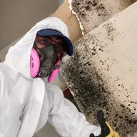 Technician in respirator holding a piece of drywall covered with mold