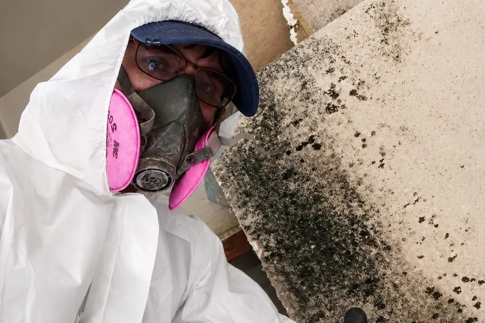 Technician in respirator holding a piece of drywall covered with mold