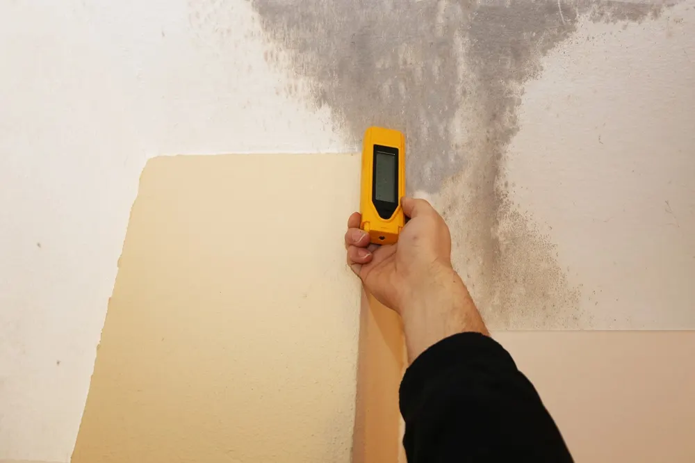 Measuring moisture on a stained wall with a digital moisture meter