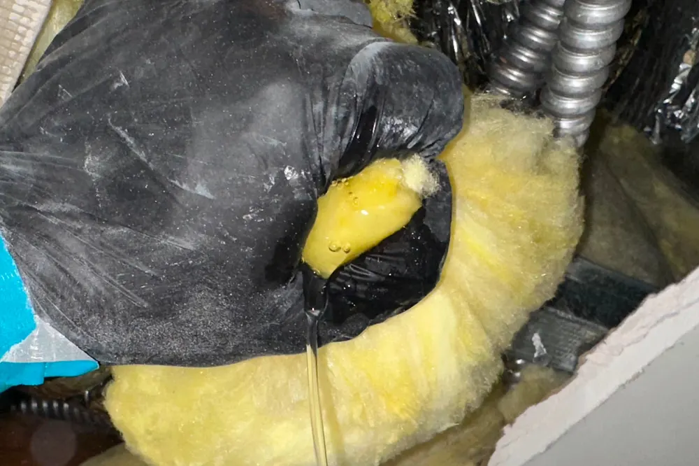 Wet fiberglass insulation being removed from a ceiling cavity