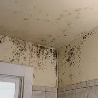 Mold spreading across a bathroom wall and ceiling in a rental home