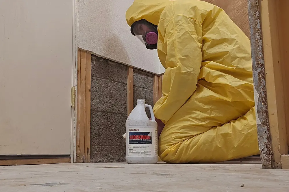 Inspector checking a stained wall for moisture during mold testing