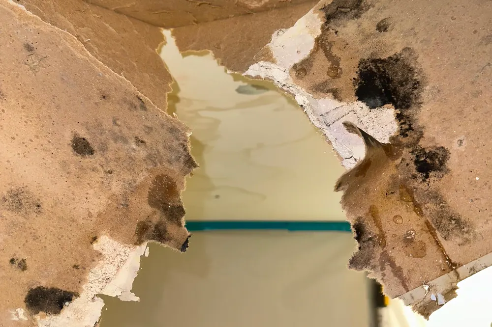 Water-damaged ceiling opened up after a leak to dry the cavity