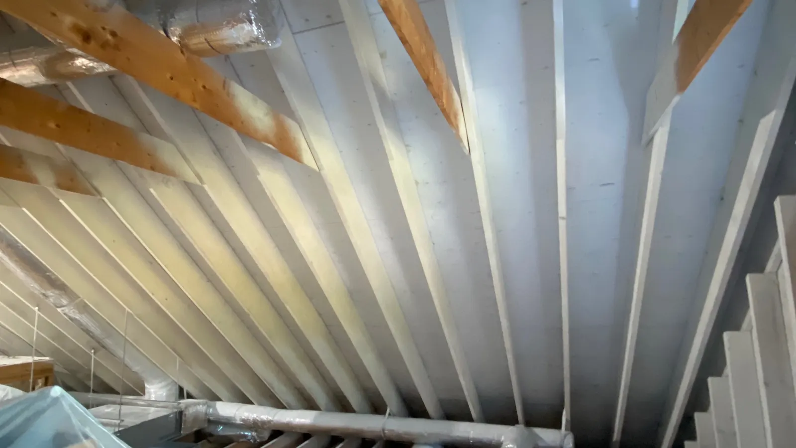 Mold growth on attic roof sheathing and rafters before remediation
