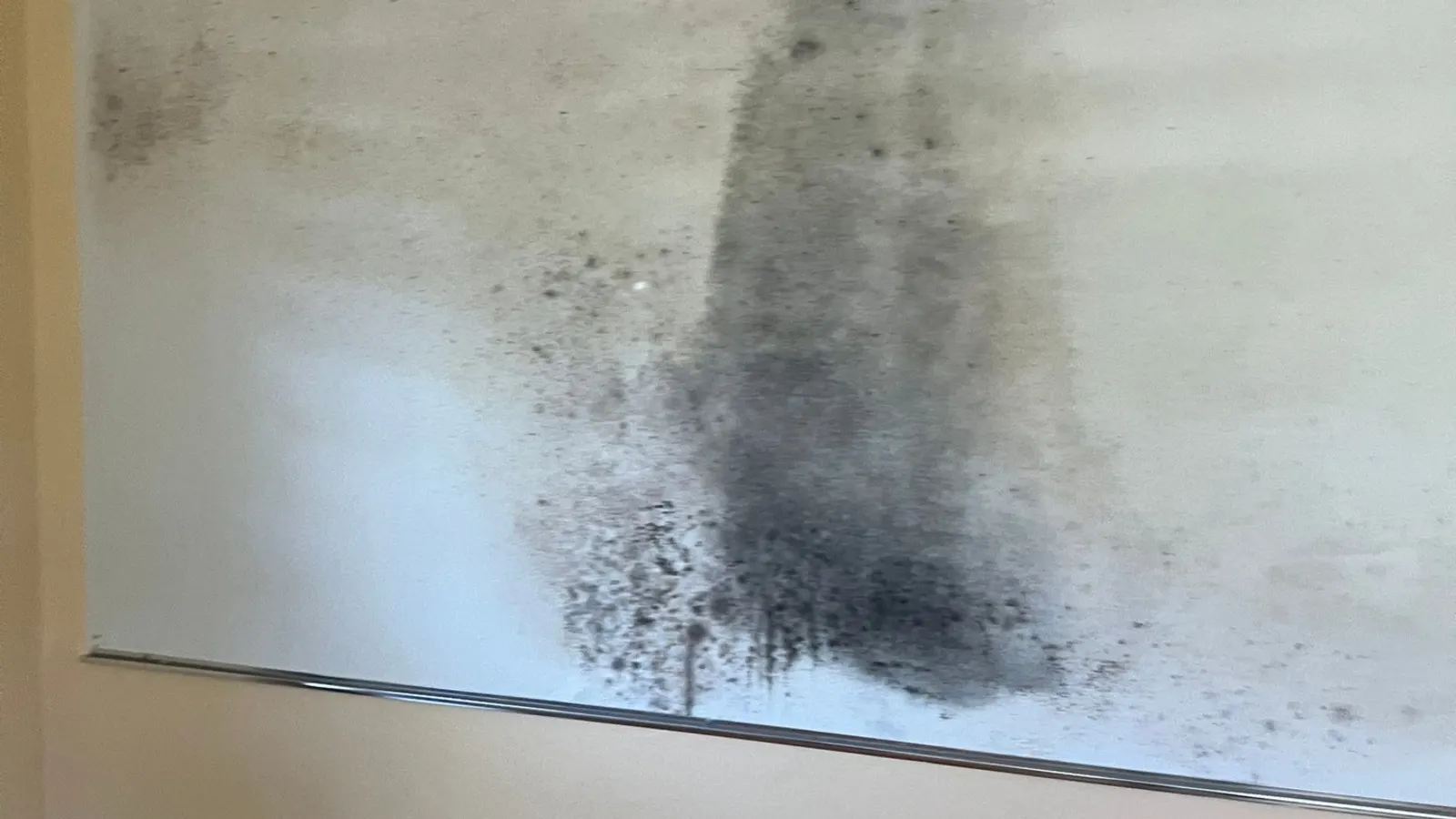 Mold spreading across a bedroom wall found during a mold inspection
