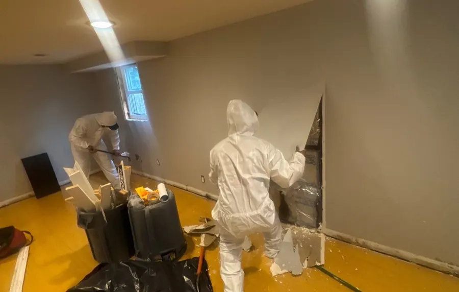 Attic & Second-Floor Containment Remediation in Middletown, NJ, photo 6