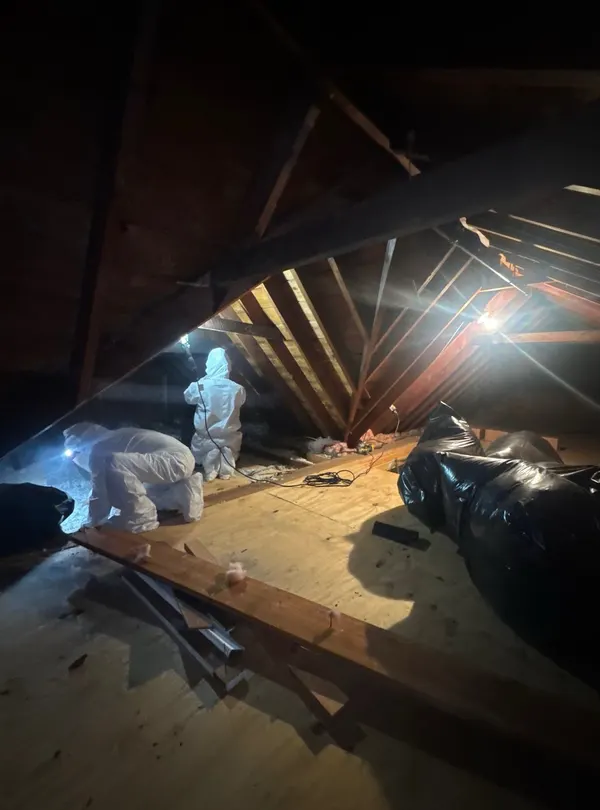 Attic & Second-Floor Containment Remediation in Middletown, NJ