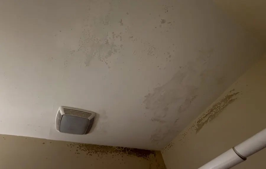 Bathroom Ceiling Mold Removal in Red Bank, NJ, photo 2