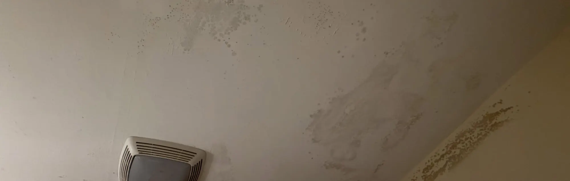 Bathroom Ceiling Mold Removal in Red Bank, NJ