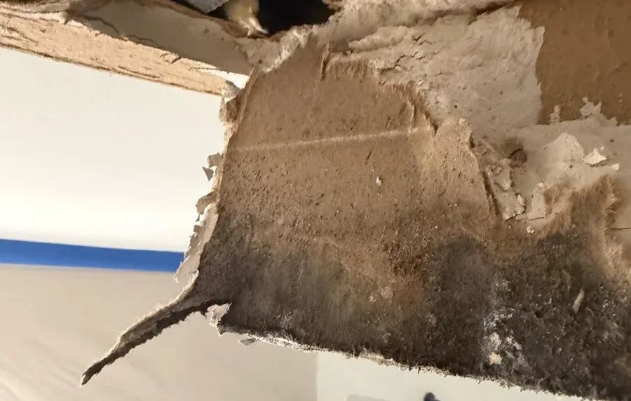 Shower Ceiling & Exhaust Duct Remediation in Howell, NJ, photo 2