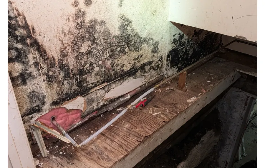 Closet Wall & Crawl Space Access Remediation in Long Branch, NJ, photo 1