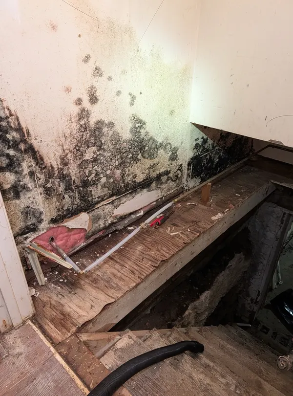 Closet Wall & Crawl Space Access Remediation in Long Branch, NJ