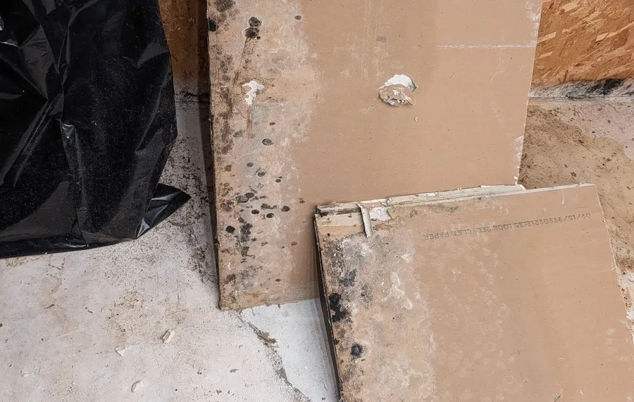 Flood Cut & Wet Drywall Removal in Point Pleasant, NJ, photo 1