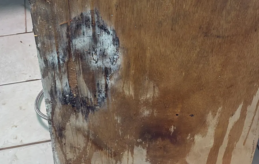 Kitchen Sink Leak Mold Remediation in Marlboro, NJ, photo 3