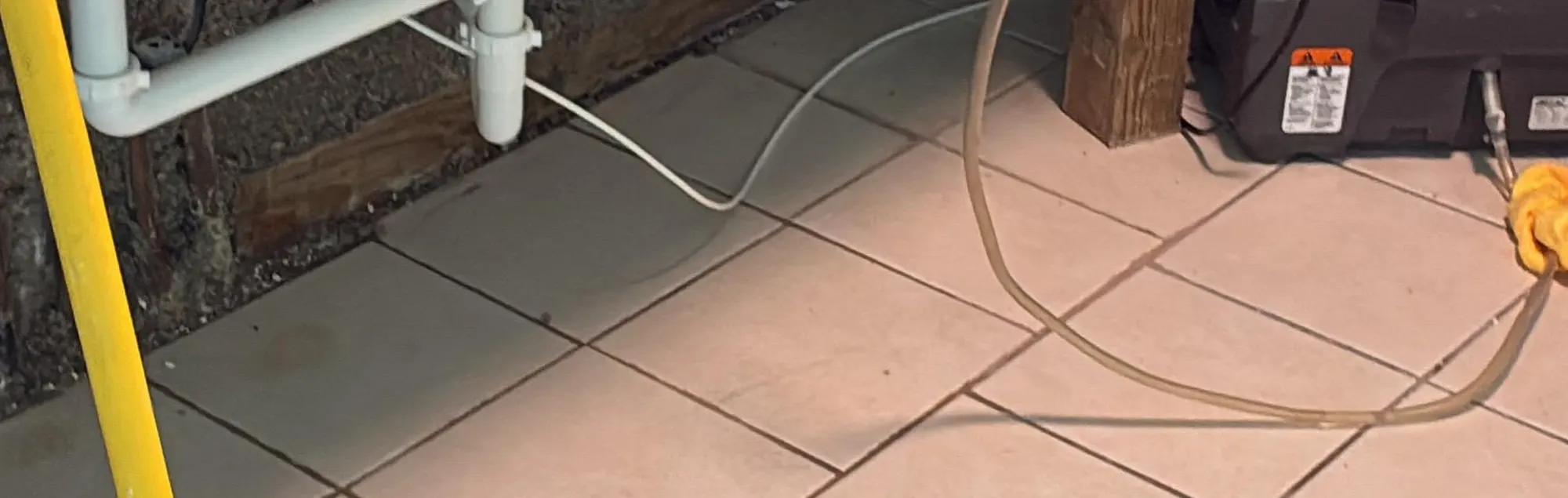 Kitchen Sink Leak Mold Remediation in Marlboro, NJ