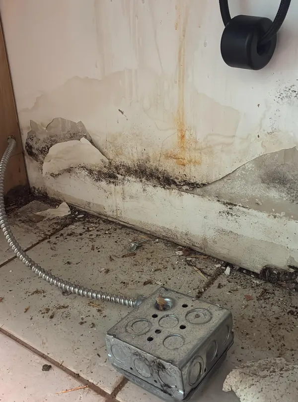 Kitchen Sink Leak Mold Remediation in Marlboro, NJ