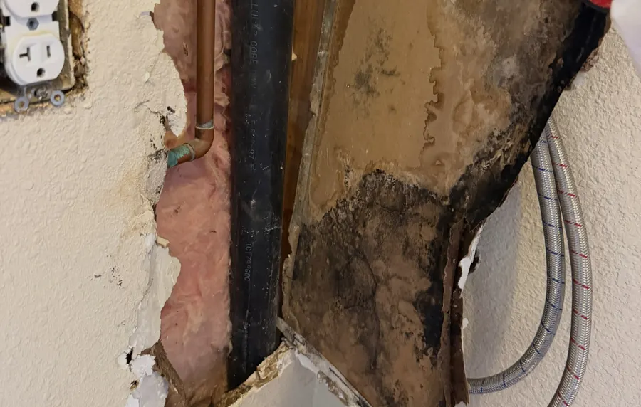 Laundry Room Leak & Wall Cavity Remediation in Brick, NJ, photo 5