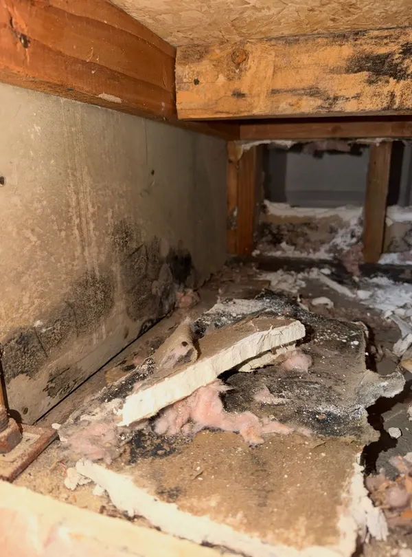 Laundry Room Leak & Wall Cavity Remediation in Brick, NJ
