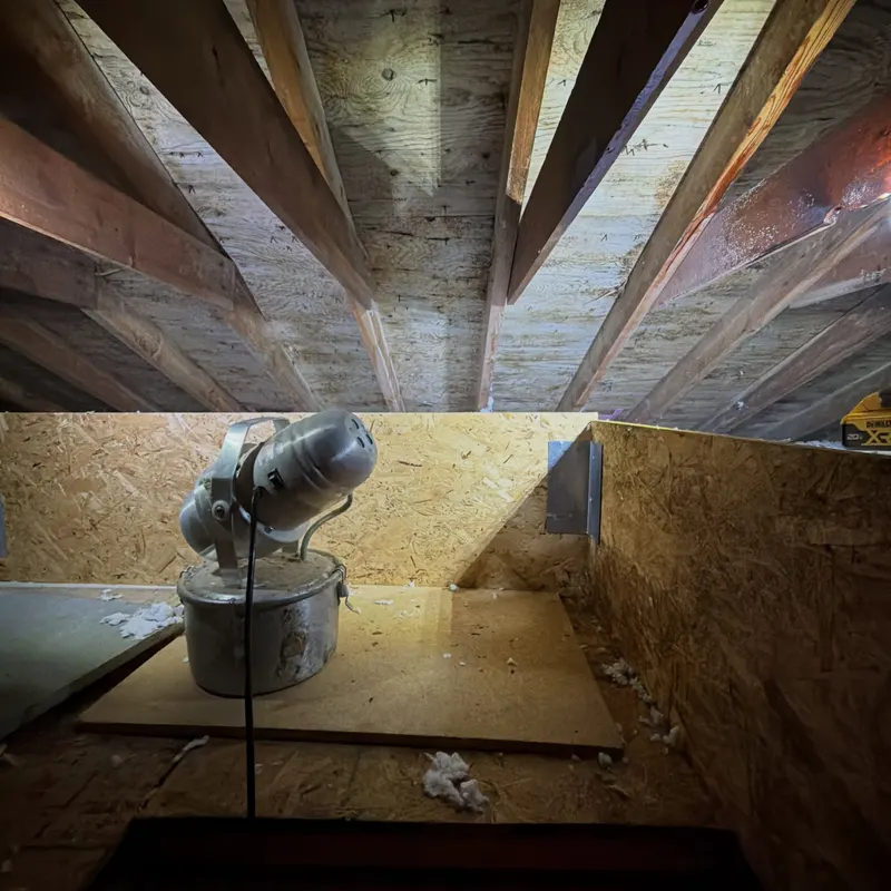 Attic Mold Remediation work by Garden State Mold Pros in New Jersey