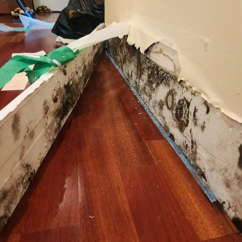 Basement Waterproofing in New Jersey