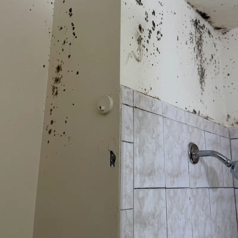 Bathroom Mold Remediation work by Garden State Mold Pros in New Jersey