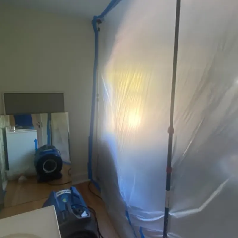 Contents Mold Remediation in New Jersey