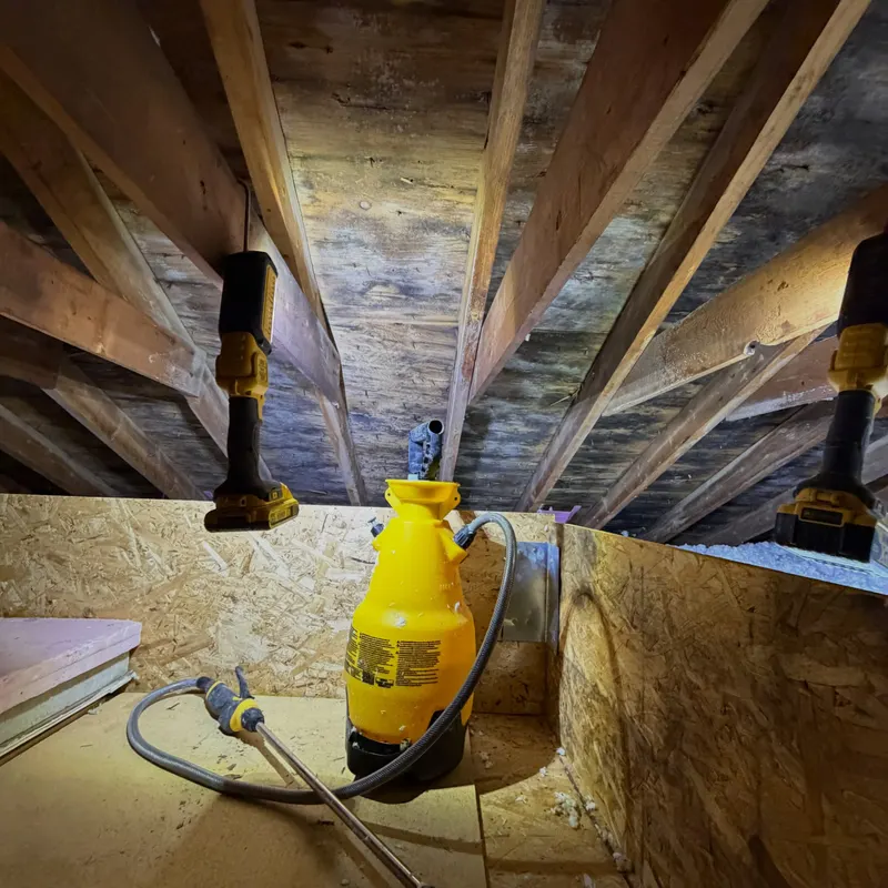 Crawl Space Mold Remediation work by Garden State Mold Pros in New Jersey