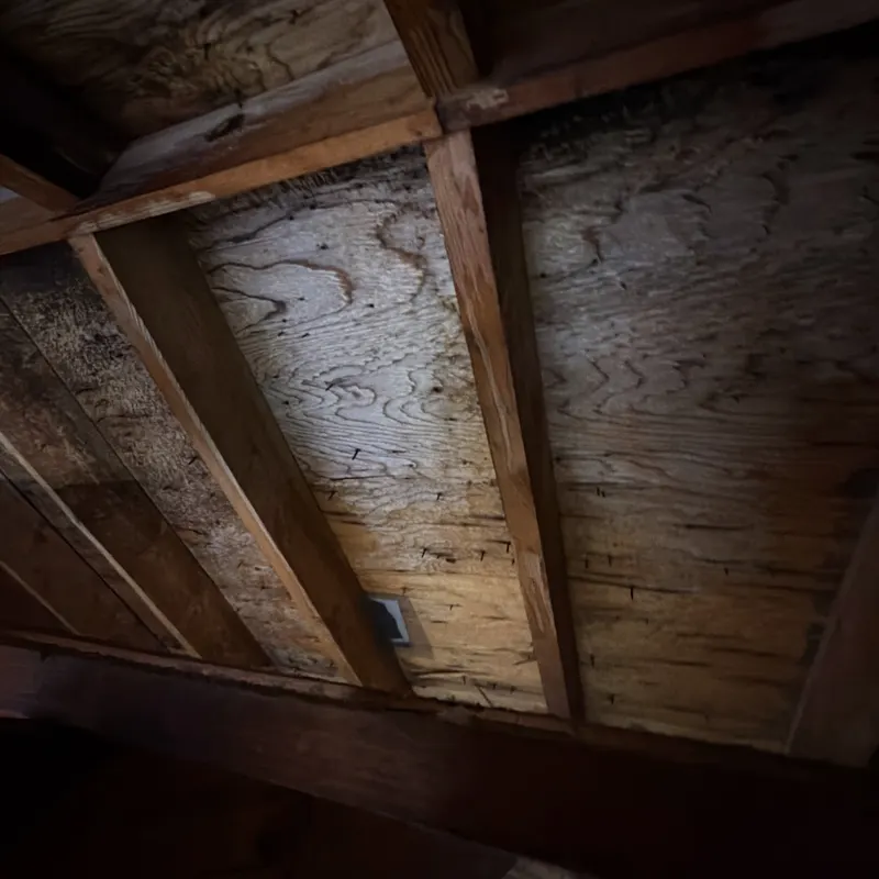 Crawl Space Mold Remediation in New Jersey
