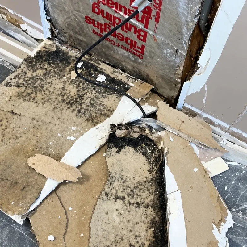 HVAC Mold Remediation work by Garden State Mold Pros in New Jersey