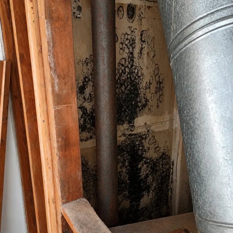 HVAC Mold Remediation in New Jersey