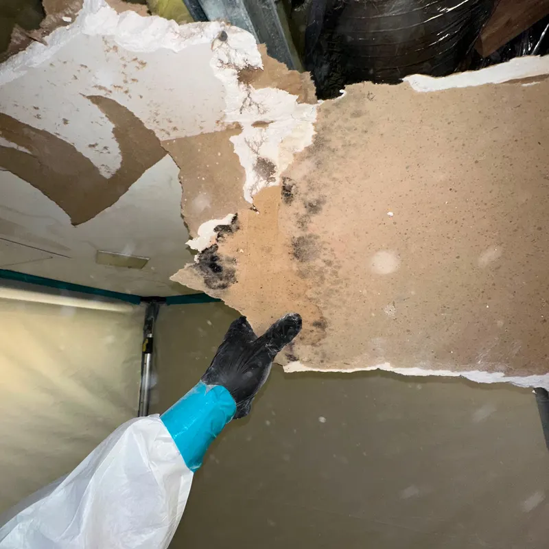 Structural Mold Remediation work by Garden State Mold Pros in New Jersey