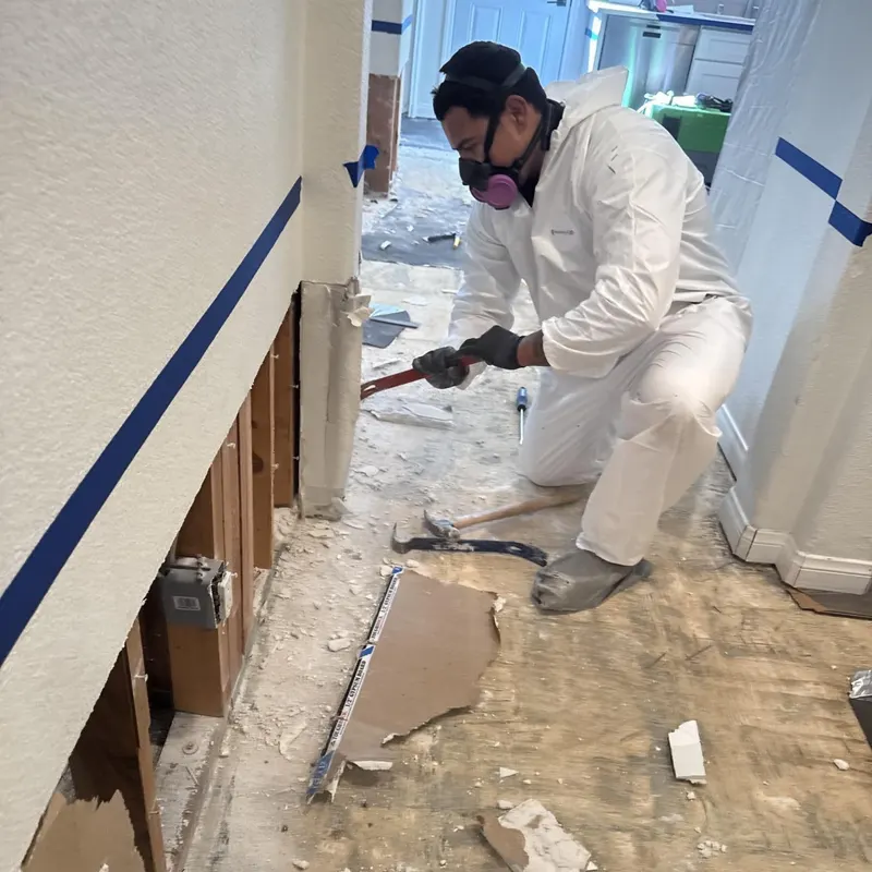 Structural Mold Remediation in New Jersey