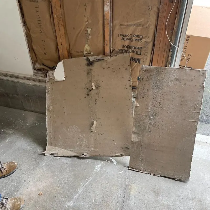 Basement Waterproofing work by Garden State Mold Pros in New Jersey